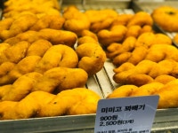 05화 서울촌놈의 국내여행 뿌수기 [구리-하남 편]