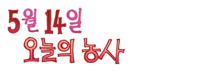 [소행성] 오늘의 농사