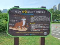 송파둘레길 제1일, 성내천~한강