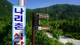 [울릉거닐다,여정편] 04. 울릉도 경관 원정대-2