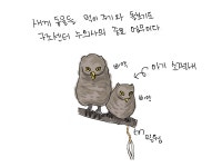 05화 야생동물 구조센터에서는 무슨 일을 할까?