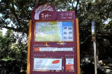천년퐁낭