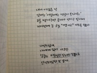 돼지코