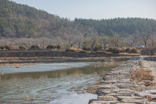 운명의 강 북천따라