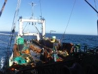 [브런치북] 오만 어장 가는 길 2