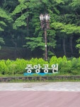 [르무통 서포터즈 6기] 나의 반려길을 반려신과 함께