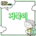 07화 거북이
