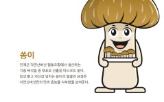 로컬의 힘을 귀엽게 담다 – 인제군 버섯 캐릭터 디자인 로컬의 힘을 귀엽게 담다 –  인제군 버섯 캐릭터 디자인