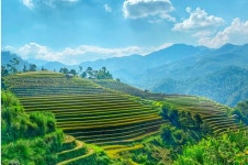 다섯 번째 사파 SAPA