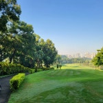 [브런치북] 골프에 진심입니다