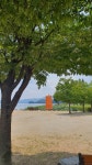 35도에 두물머리를 산책했다. 35도에 두물머리를 산책했다. 