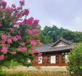강원도 강릉 바다여행