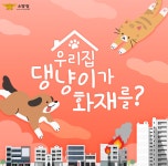 [팩트체크] 범인은 댕냥이?