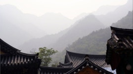 계룡산으로 사라진 중개사