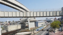 지역별 특징을 찾아볼 수 있는 노선