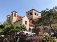 명동과 함께한 민주화의 성지...