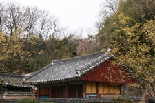 공민왕 때 설립된 우리나라에서 가장 유명한 향교….