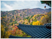 가을엔 오대산.1-비로봉과 상왕봉