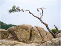 03화 관악산 학바위능선과 팔봉능선