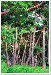 폭포를 찾아 떠나는 시원한 여름 산행 ㅡ내연산