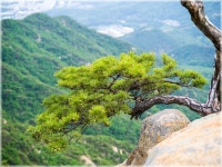 03화 관악산 학바위능선과 팔봉능선