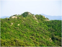 03화 관악산 학바위능선과 팔봉능선