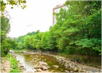 03화 관악산 학바위능선과 팔봉능선