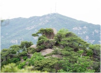 03화 관악산 학바위능선과 팔봉능선