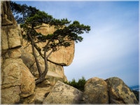 03화 관악산 학바위능선과 팔봉능선