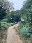 32. 걷린이 까예