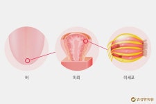 미각상실, 맛을 못 느끼는 질병이 무서운 까닭은?