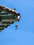 지천명(知天命)