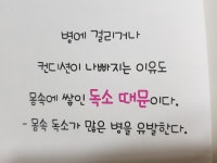 20년간 신약 개발을 한 어느 약사의 고백