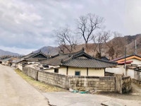 밝은 달빛이 머물다. 동해 금곡마을!