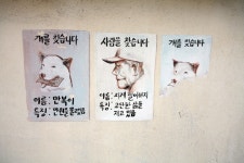 08화 묵호 논골담길, ‘만복이’를 찾습니다!