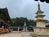 김대성 찾기(석불사, 불국사)