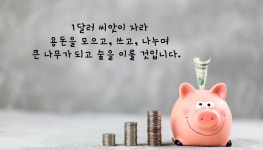 출간 작가의 아름다운 추억, 북 토크