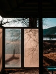 버스, 정류장