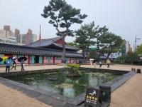 4월 21일 (목) 나무반 이야기