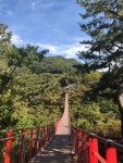 [주말여행] 파주 감악산 출렁다리