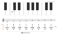 음이름 (Pitch Names)