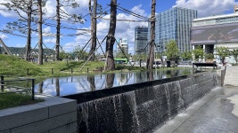 03화 도심에서 오아시스를 발견한 날