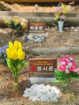 햇볕 좋은 날 수목장을 다녀왔다. 햇볕 좋은 날 수목장을 다녀왔다. 