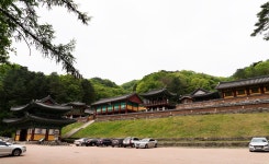 강원도 봄 추천 여행지 ▶▶▶ 동악명산원주 치악산