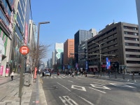 걷기, 강남역에서 동묘까지