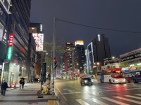 걷기, 한양대에서 강남역까지