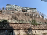 걷기, 강남역에서 동묘까지