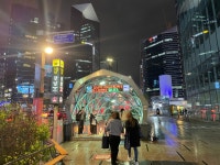 걷기, 한양대에서 강남역까지