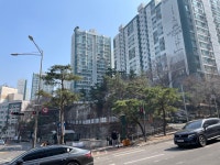 걷기, 강남역에서 동묘까지