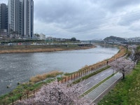 걷기, 한양대에서 강남역까지